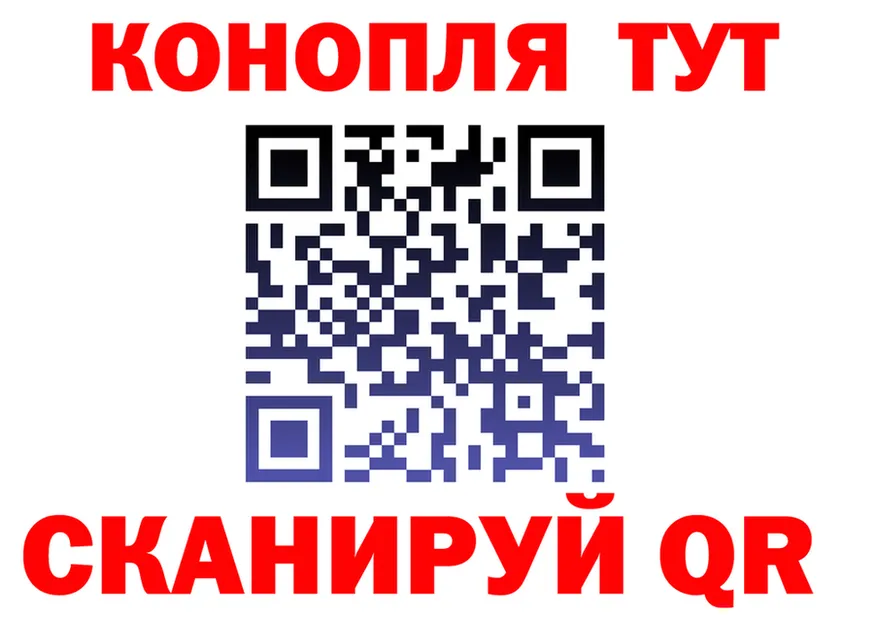 Магазины продажи наркотиков это состав Гусь-Хрустальный