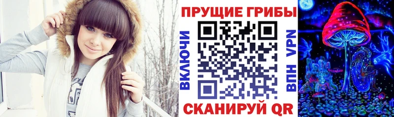 Купить где  Гусь-Хрустальный  Галлюциногенные грибы мицелий 